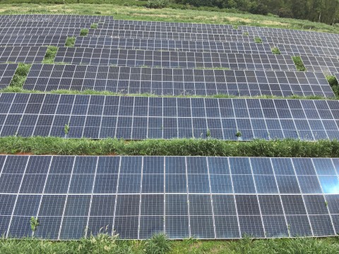 Sinergia de manutenções preditivas e corretivas em UFVs